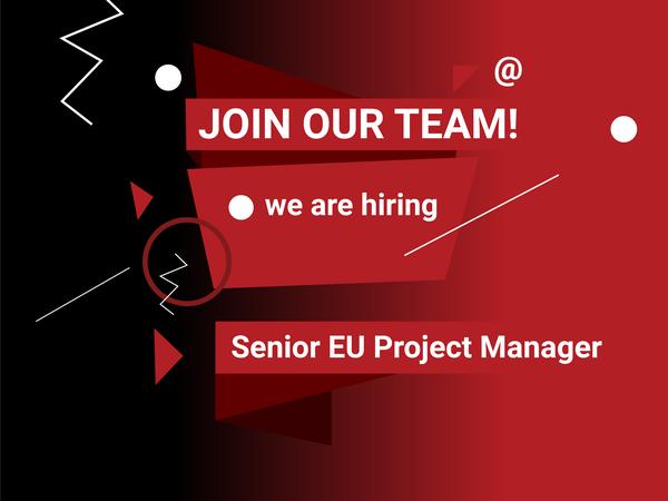 Senior EU Project Manager